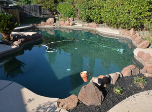987 Main Street , Roseville, CA, 95874 Listing: Pool Photo by Real Estate Agent