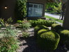 11479 Coloma Road , Gold River, California, 95670 Listing: Front Yard Photo by Real Estate Agent