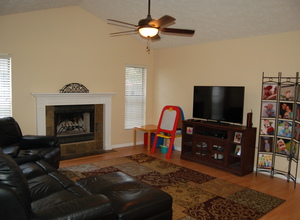 1437 Dumont Dr , Valrico, Florida, 33596 Listing: Living Room Photo by Real Estate Agent