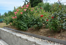 6122 Grant Avenue , Laporte, VA, 20122 Listing: Patio Roses Photo by Real Estate Agent