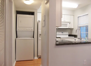 6924 Stone's Throw Circle Apt 8109, St Petersburg, Florida, 33710 Listing: Laundry Room Photo by Real Estate Agent