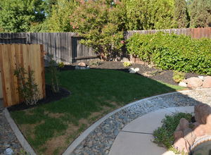 987 Main Street , Roseville, CA, 95874 Listing: Back Yard Photo by Real Estate Agent